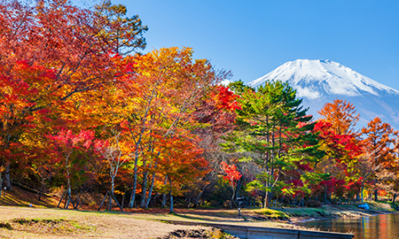 紅葉