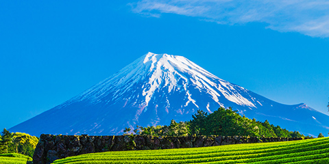 富士山 信仰の対象と芸術の源泉