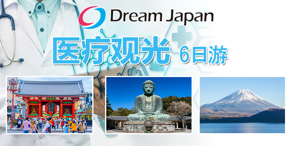 医疗旅行 六天游