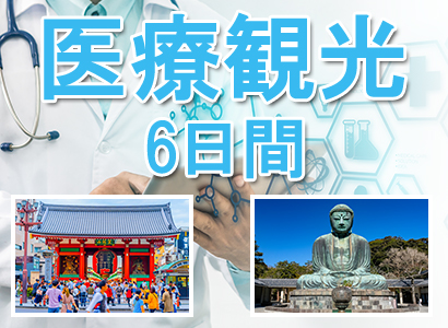 医療箱根観光6日間